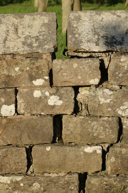 Stone Wall Repair in Bronx, NY